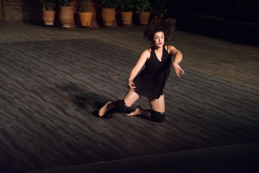 Οι Δρυάδες εν Πλώ στο 51ο Παγκόσμιο Συνέδριο για την Έρευνα του Χορού του CID