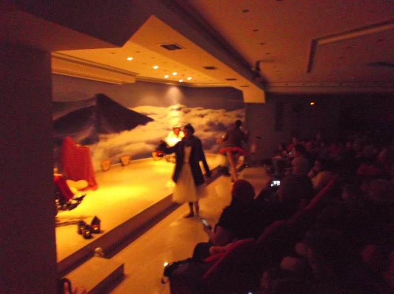 Το Χορόχρωμα των Χριστουγέννων στο Κέντρο Αποκατάστασης Αnimus στην Λάρισα